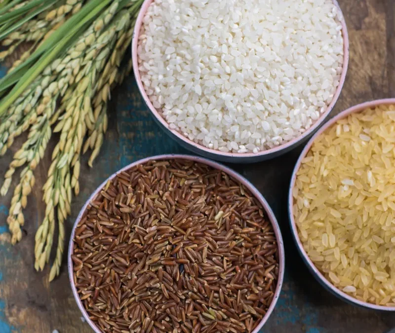 Le Riz de Camargue IGP rond : une recette raffinée aux saveurs de Provence !