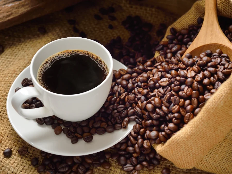 Café d’exception : voyage au cœur des plus grands terroirs du café avec Maison Allard